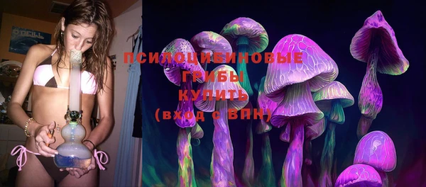 PSILOCYBIN Богданович